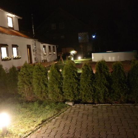 Ferienwohnung Haus Zeier Γκόσλαρ Εξωτερικό φωτογραφία